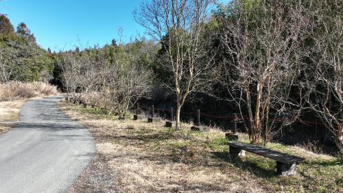 リニア岐阜県駅周辺の様子【MAVIC】サムネイル 2024年2月3日-4